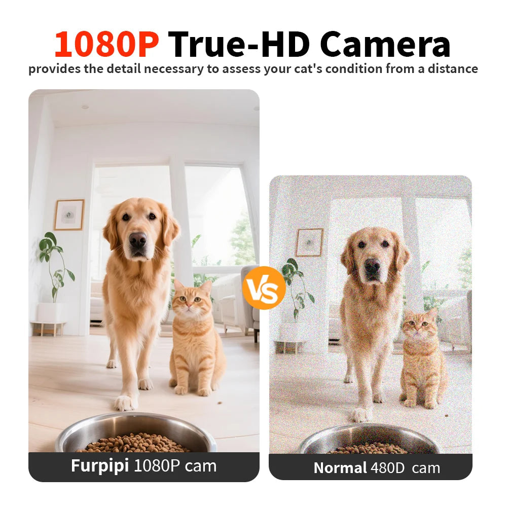Automatic Cat Feeder Food Dispenser With 1080 FHD WIFI Camera Recorder 8L Smart