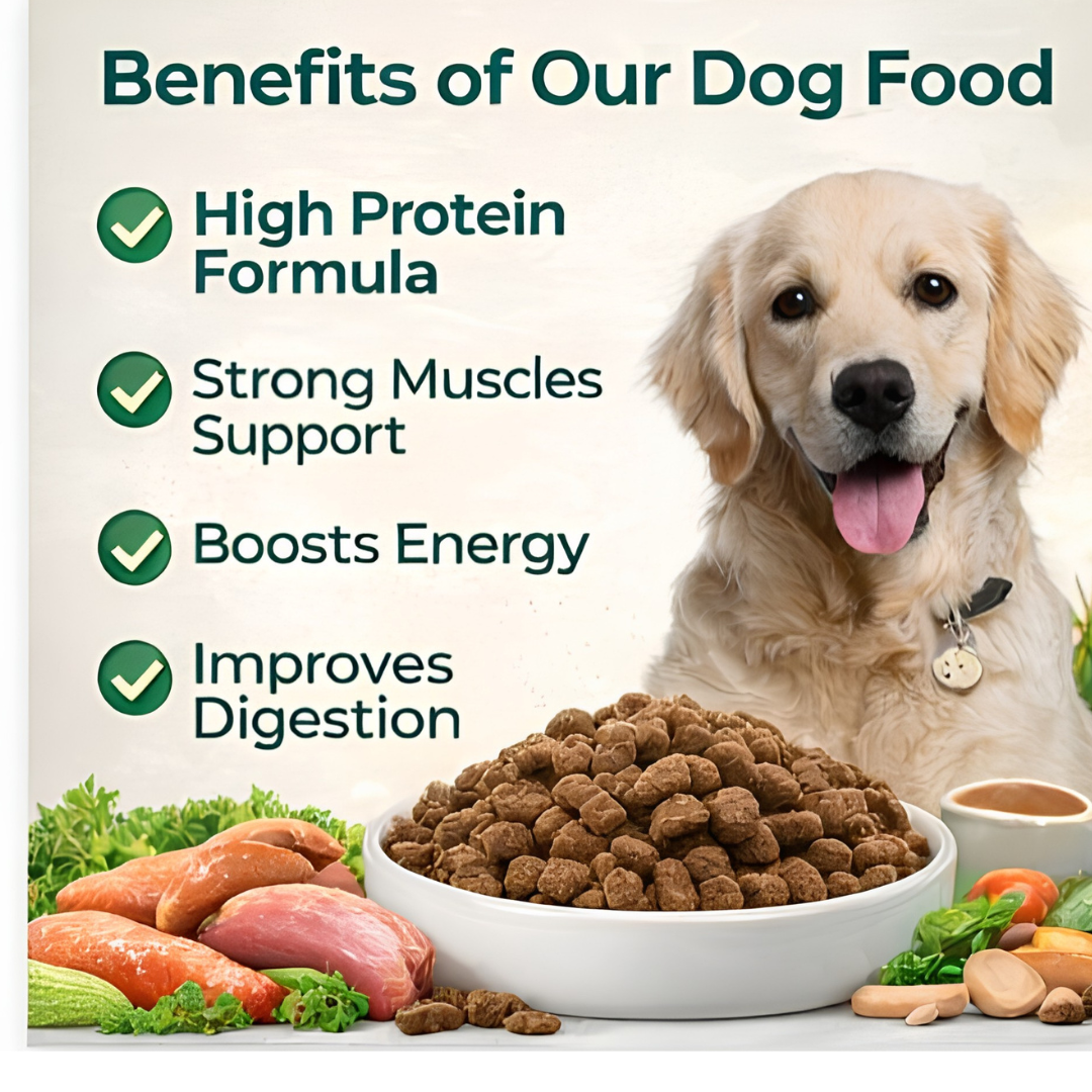 Premium High-Protein Dog Food – Healthy & Nutritious Dry Kibble for All Breeds