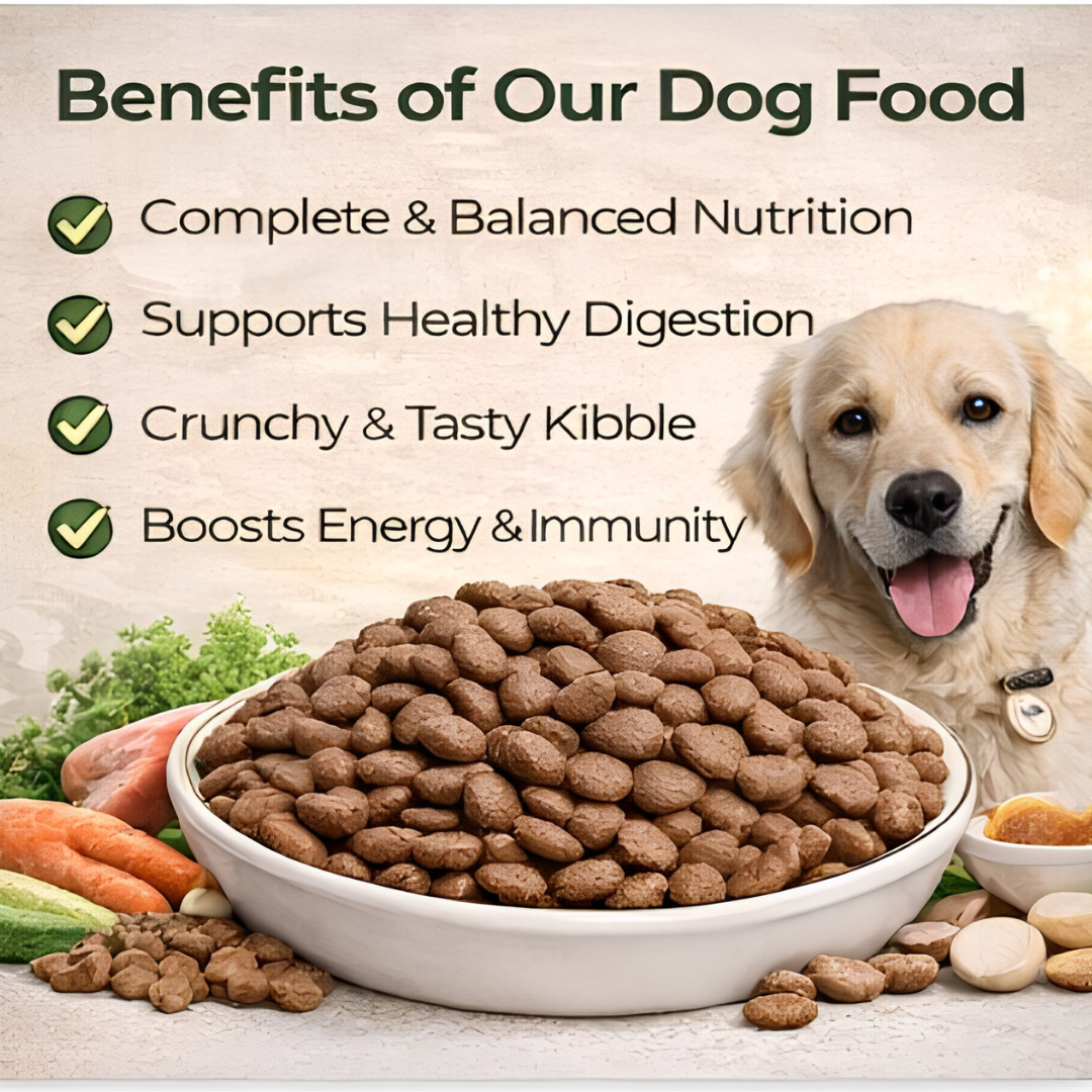 Nutritious Dry Dog Food Kibble – Healthy & Balanced Meal for All Dogs