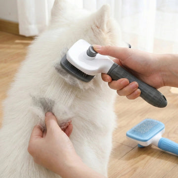 Dual-Use Dog & Cat Grooming Brush (20×10×5.5cm) - Self-Cleaning Slicker Comb with Round