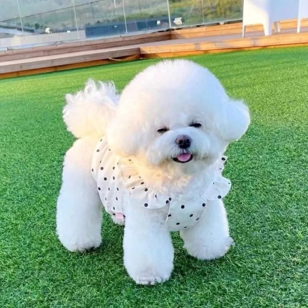 Pet Outfits Dot Pattern Su Dog Clothes Cute Thin Shirts Puppy Skirt Sweet Fashion Dog Costume