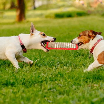 Dog Training Products, Jaoseko Dog Bite Rods, Grinding Teeth, Stick, Biting Target Pet Supplies